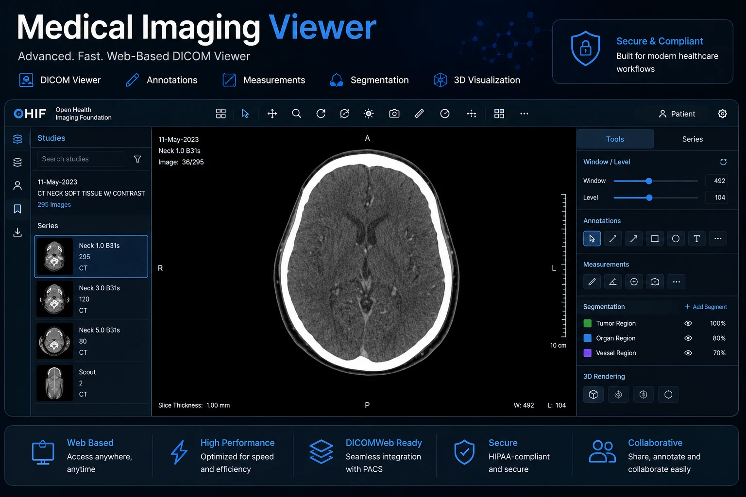Custom Medical Imaging Viewer